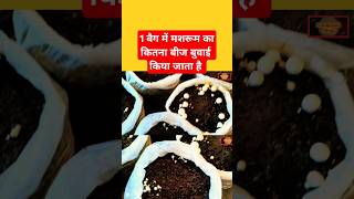 How many mushroom seeds are sown in one bag? #short #shorts? screenshot 4