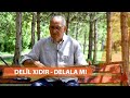 DELÎL XIDIR DELALA MI