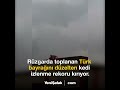 Türk bayrağını düzelten kedi sosyal medyada ilgi odağı oldu!