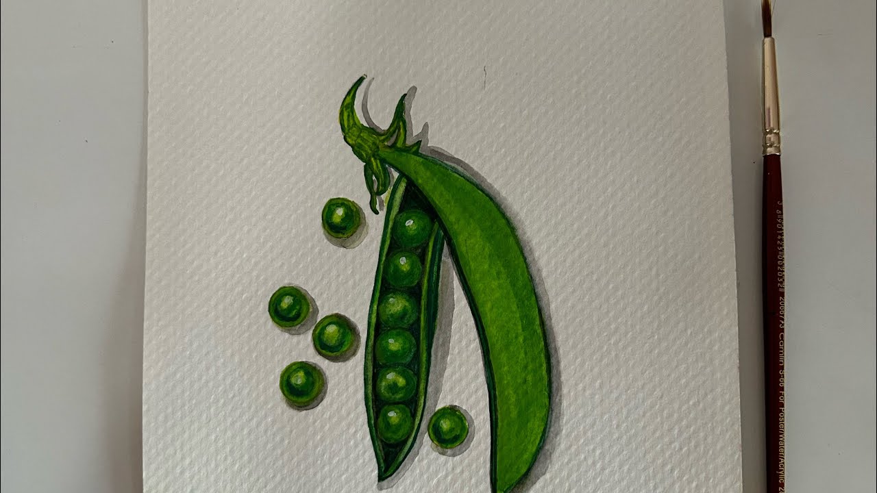 How to paint green peas 🫛 | Easy Tutorial | Realistic green peas | watercolour tutorial