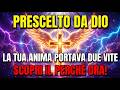 Prescelto, Il Tuo Spirito Porta Il Peso Di Due Vite — E Stai Per Scoprire Perché...