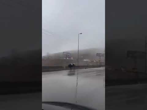 انقلاب شاحنة محملة بالأبقار على طريق ضهر البيدر ومشهد يوثق لحظة فرارهم