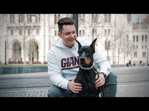 Amiről SENKI NEM BESZÉL! | Ilyen 1 ÉV Után Az Élet Egy Dobermannal!