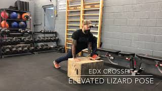 Elevated Lizard Pose: Yoga for Athletes with EDX Fitness
