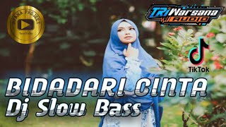 Dj Bidadari Cinta Ihfana Project  Perfom Triwarsana Production