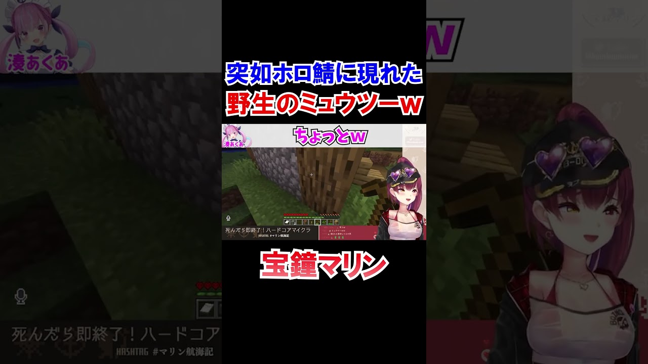 突如ホロ鯖に現れた野生のミュウツーｗ【ホロライブ切り抜き/宝鐘マリン/湊あくあ】#shorts