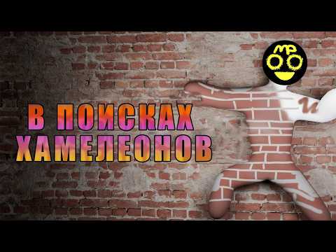 В ПОИСКАХ ХАМЕЛЕОНОВ - Meccha Chameleon