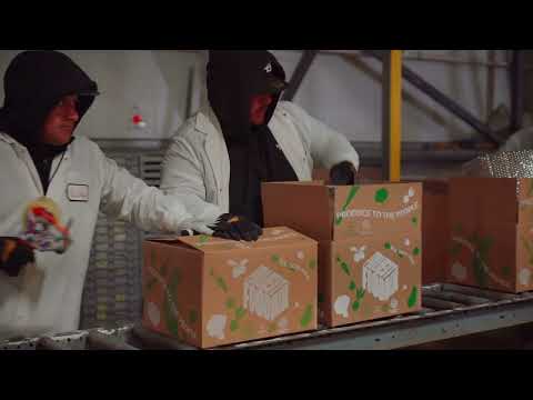 Project FoodBox Visual Overview From Farm to Table Earth to Wellness