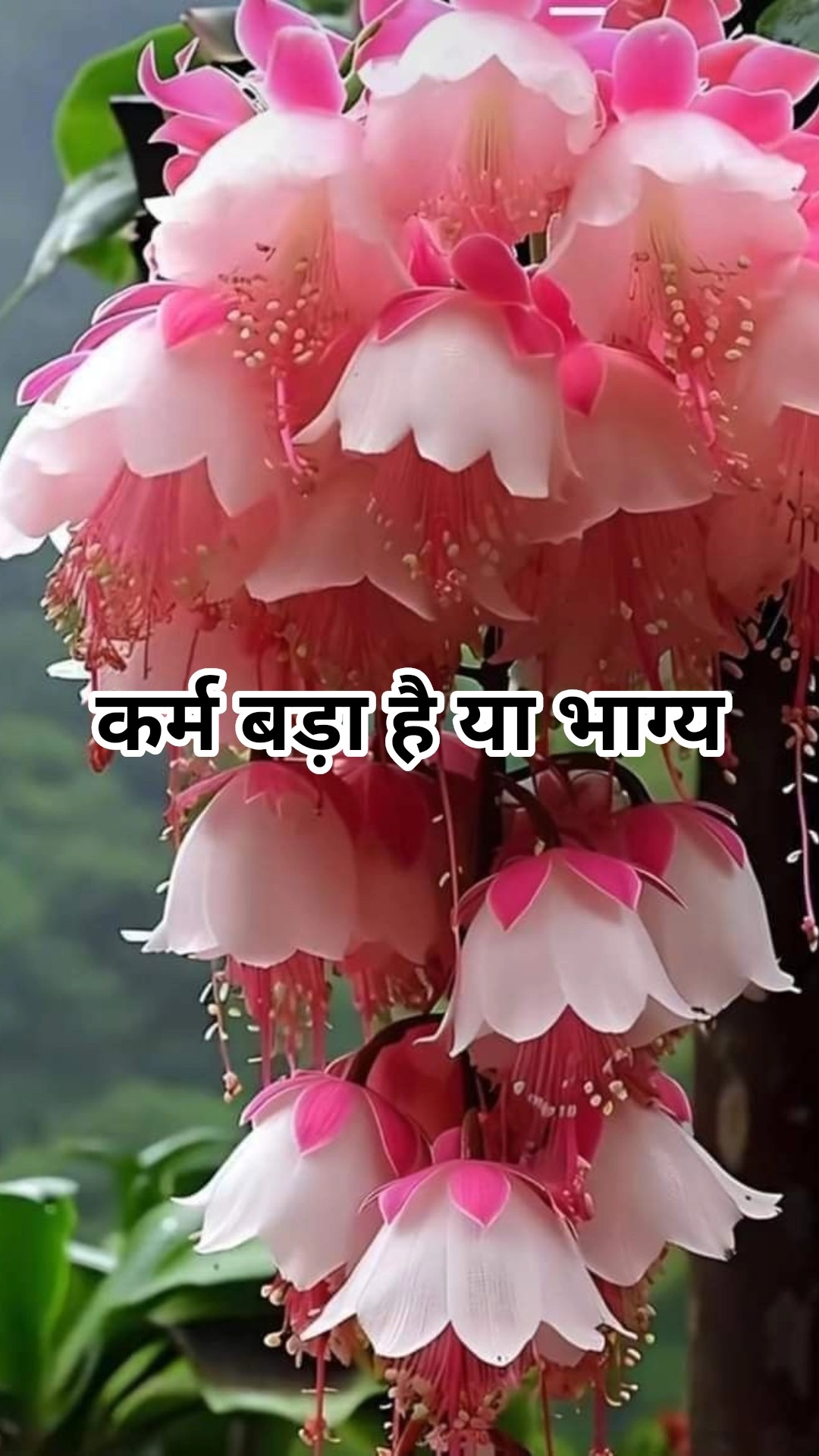 यूट्यूब चैनल - ShareChat