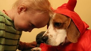 Beagle And Babys Epic Playtime Adventure