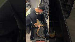 My New Argus Monitor!