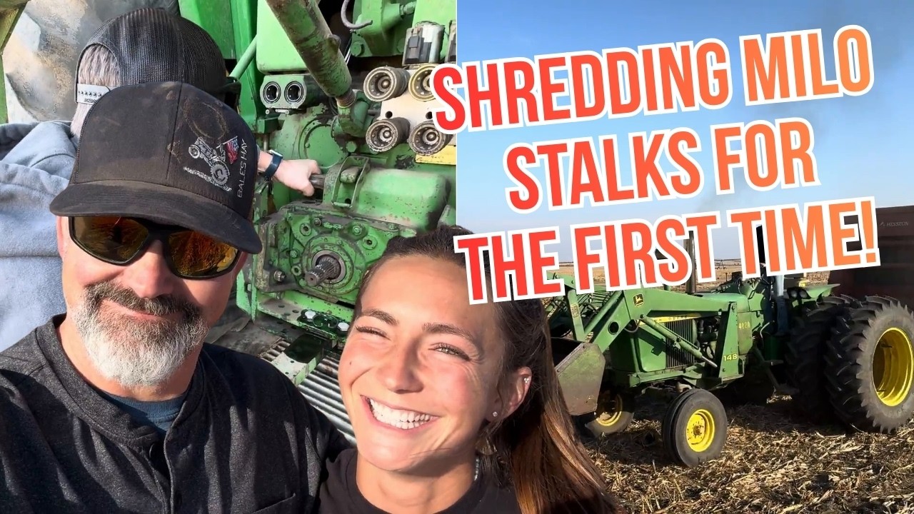 Ферма, как в 1970-х.