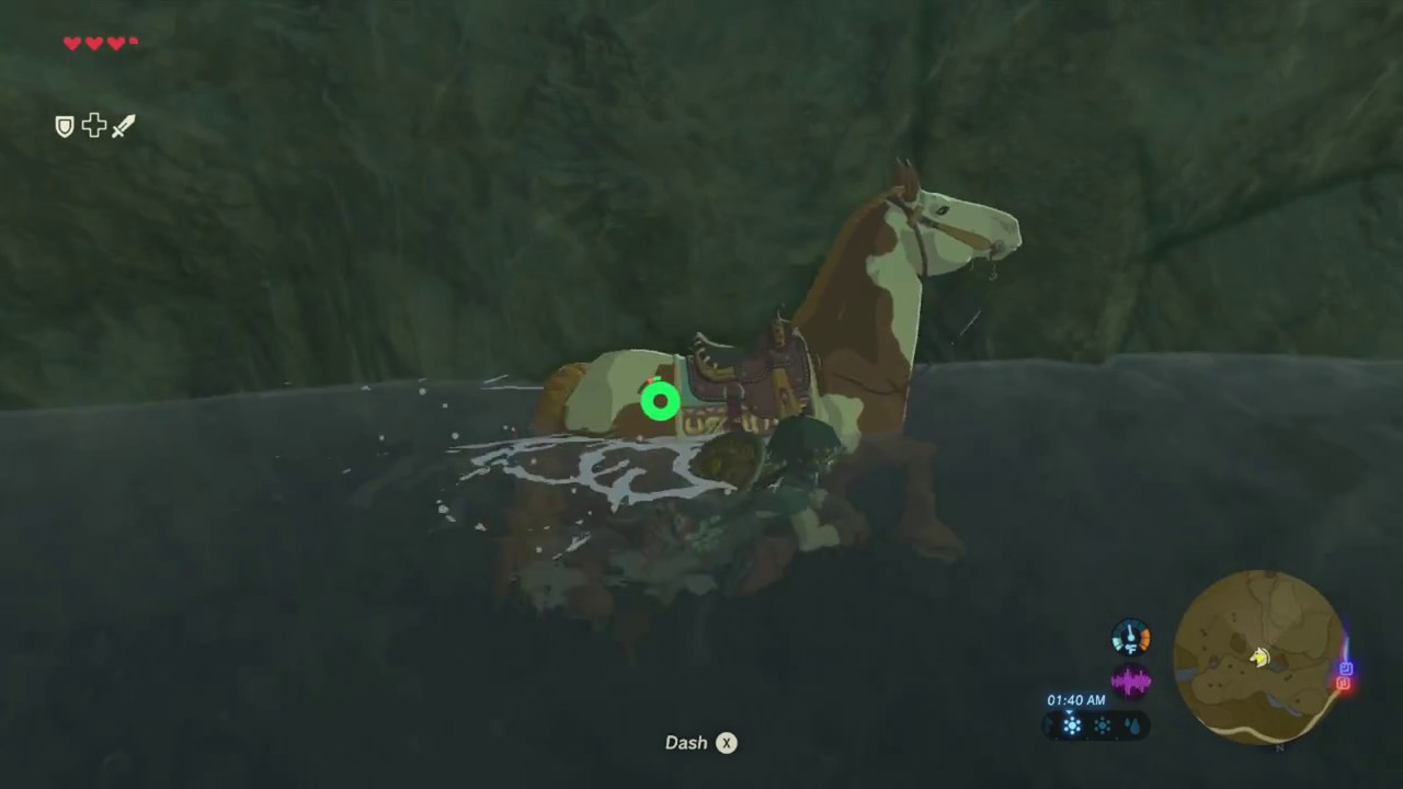 Get out of the water Mindy!! Zelda BotW YouTube