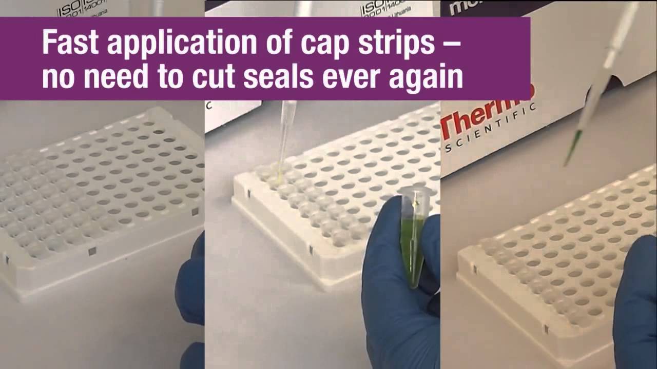 Flexible consumables for PCR and qPCR YouTube