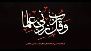 40 - الشيخ ابو بكر الشاطري - سورة غافر