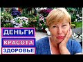 Была скромная крестьянка, а теперь только доллары в глазах. Деньги, Красота, Здоровье