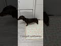 Год спустя…