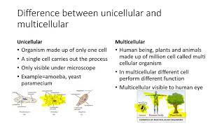 Class 4 | Science | building blocks of life |  difference between multicellular and unicellular