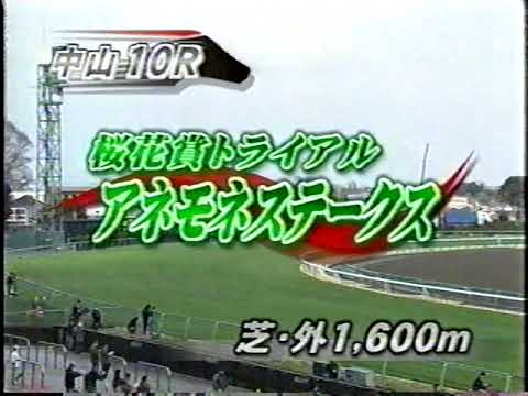 2008 アネモネS 　マジックキャッスルの母　ソーマジックの走り