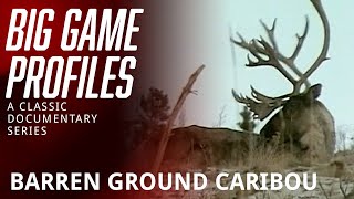 Big Game Profiles - Barren Ground Caribou