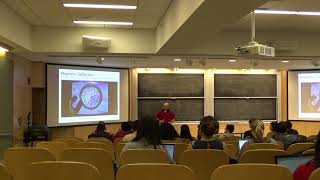 Introduction to Computer Graphics (fall 2018), Lecture 23: Output devices