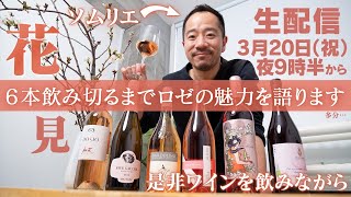 【生配信】６本飲み切るまでロゼの魅力を語ります