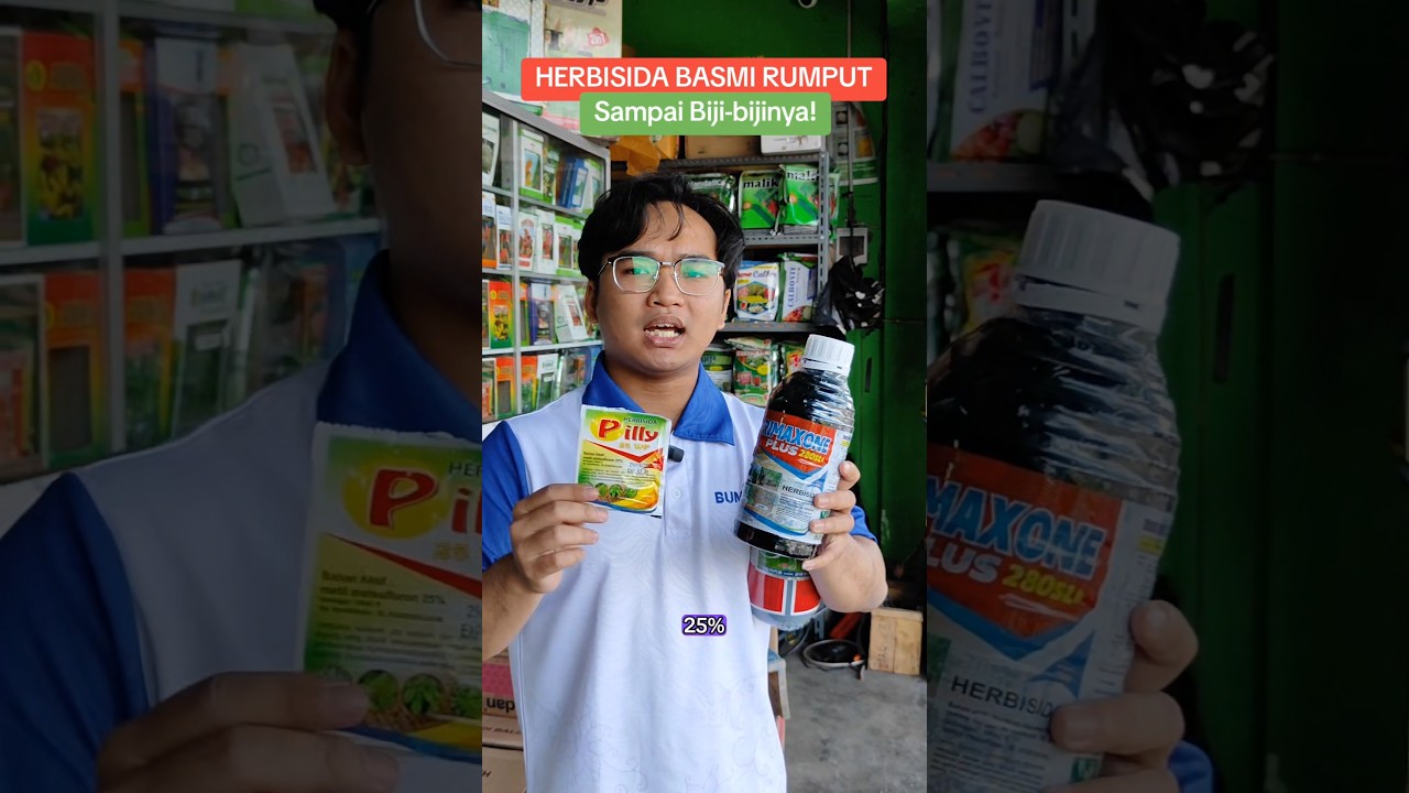 Herbisida Megaxone dan Primaxone Plus mampu basmi rumput secara cepat dan sampai ke biji-bijinya!