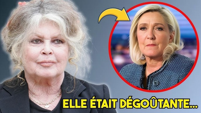 À l’âge de 90 ans, Brigitte Bardot nomme cinq personnes qu’elle ne  pardonnera jamais…