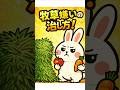 【必見!牧草嫌いの治し方!】#うさぎ