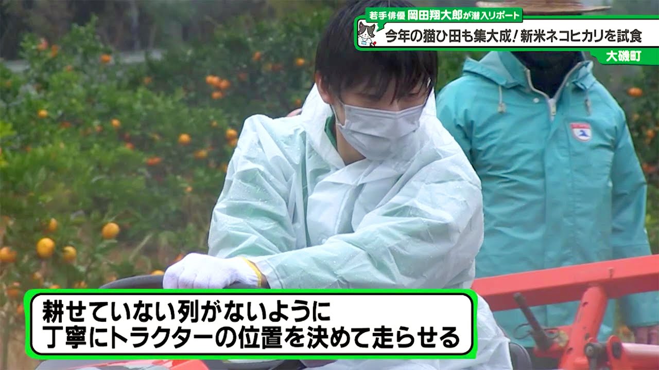 猫のひたいほどワイド　岡田翔大郎 猫のひたいほどワイド #1158 リポート大賞・岡田翔大郎「今年も猫ひ田