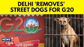 G20 Summit 2023 India | Civic Body Removes Street Dogs In Delhi Ahead Of G20 | G20 Delhi | N18V