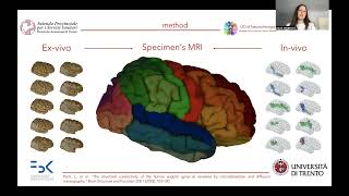 OHBM 2023 | 3002 | Talk | Laura Vavassori | BraDiPho: Merging diffusion tractography with photogra…