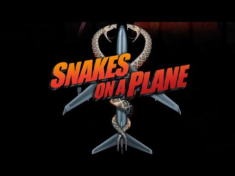 How To Ship reptiles, UK style - YouTube