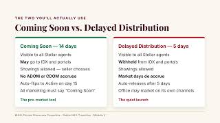 Stellar MLS Transition — Module 05: Coming Soon, Delayed Distribution and Clear Cooperation