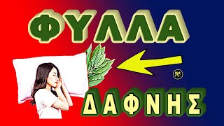 Put 2 bay leaves under your pillow before going to sleep