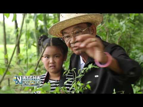 Natcha The Explorer ภารกิจที่ 88 โครงการทฤษฎีใหม่ (2/3)