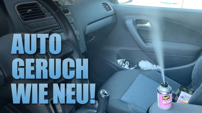 Der BESTE AUTODUFT  Üble GERÜCHE LOSWERDEN 