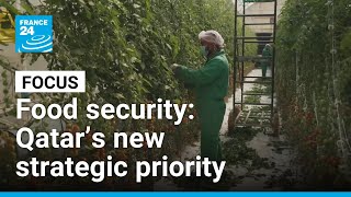 Qatar Turns To Desert Farming To Boost Food Security France 24 English