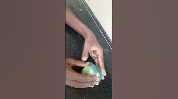 slime +ball 🗿
