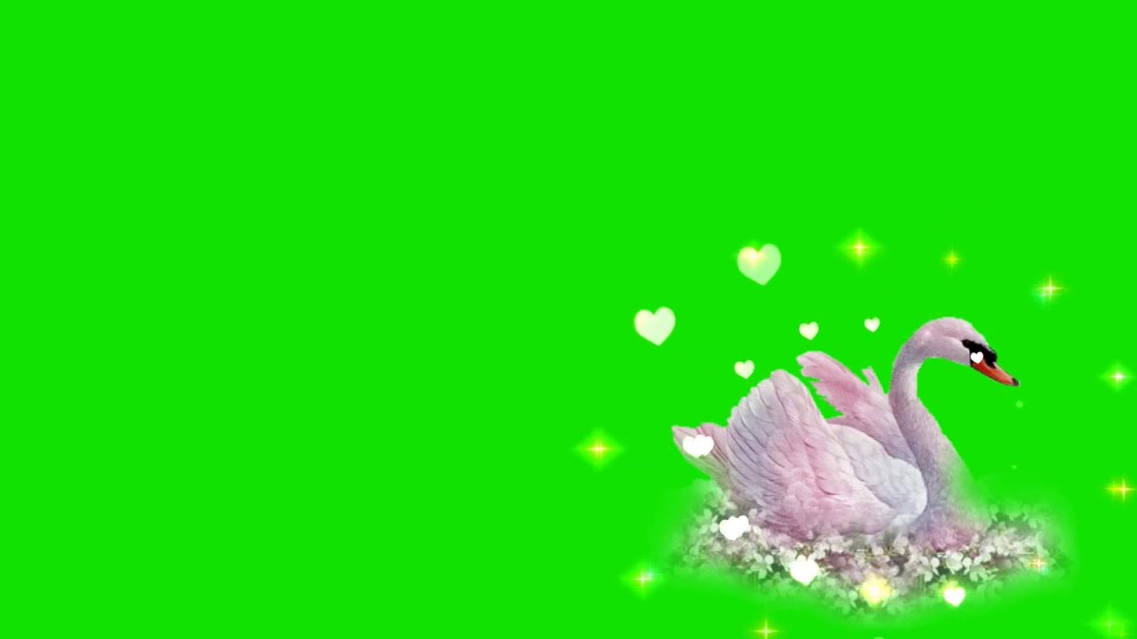 Green screen effects, kinemaster mod apk, kinemaster app