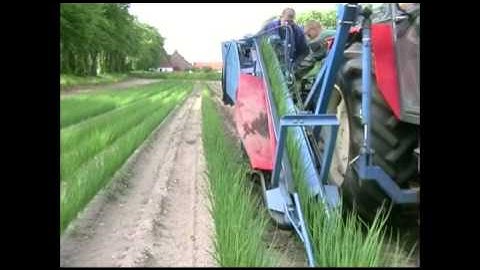 ASA-LIFT - PO-90 - Spring Onion harvester
