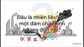 Thảm họa nhà máy lọc dầu HPCL