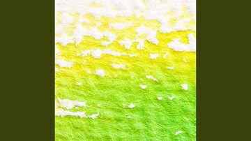 Bright Backdrops for Mellow Pictures