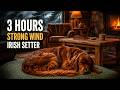 Cozy Cottage with Strong Wind & Fireplace Sounds 🌬️ Winter Storm Ambience for Sleep (Irish Setter)