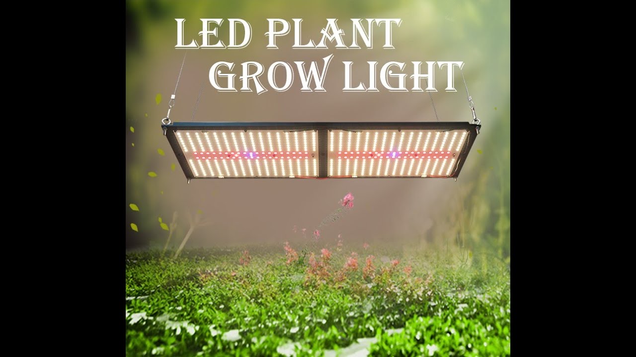 Why it can control UV&IR seperately? Meijiu Best 240W UV&IR LED Grow Light