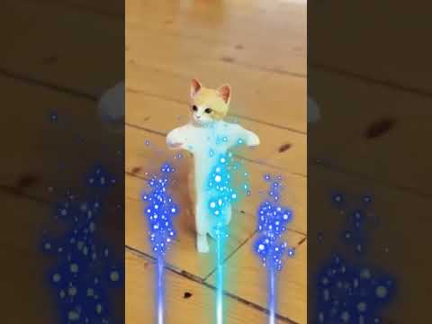 علوش قلبي يا ناس 