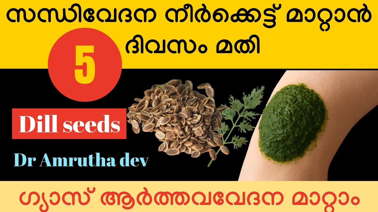സന്ധികളിലെ വേദന നീര് ,ഗ്യാസ്,ആർത്തവസംബന്ധമായ പ്രശ്നങ്ങൾ എന്നിവക്ക്|ശതകുപ്പ/dill seeds|