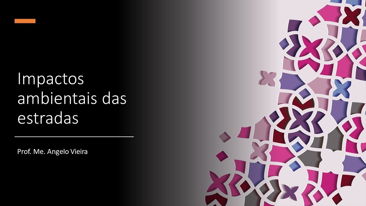 Impactos ambientais nas estradas