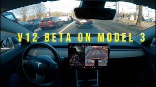 TESLA Model 3 with FSD V12 Beta! Are the issues addressed?
