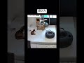 遊び方 #猫動画 #cat #ねこ #猫 #ネコ #癒される #保護猫 #三毛猫 #かわいい #かわいい猫 #ねこのいる生活 #ねこのいる暮らし #ねこのきもち